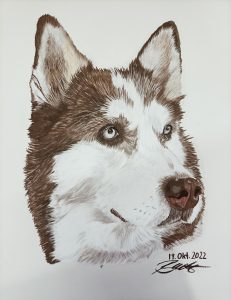 IMG 20221218