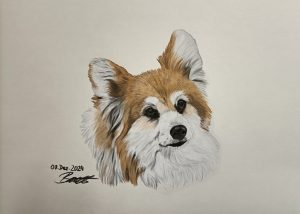 IMG 20241208