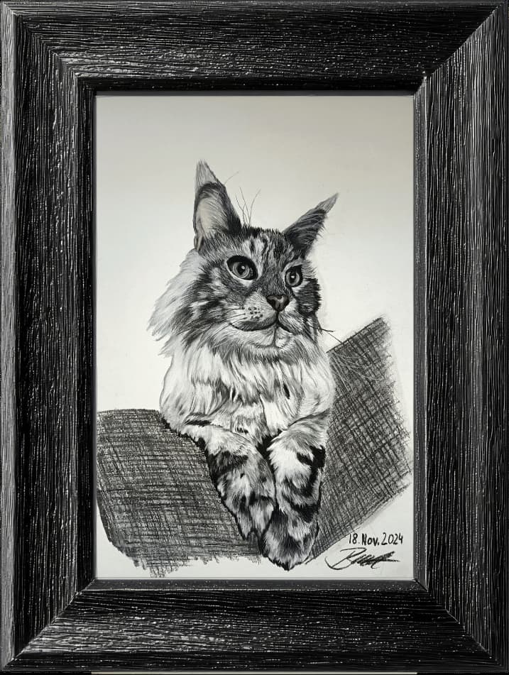 Katze Rahmen opt